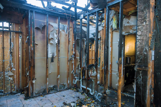 Professional Soot Cleanup technician working in Federal Way, WA