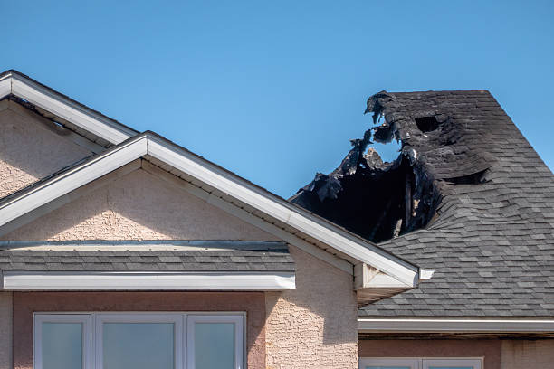 Top rated local Soot Cleanup specialists in Federal Way, WA